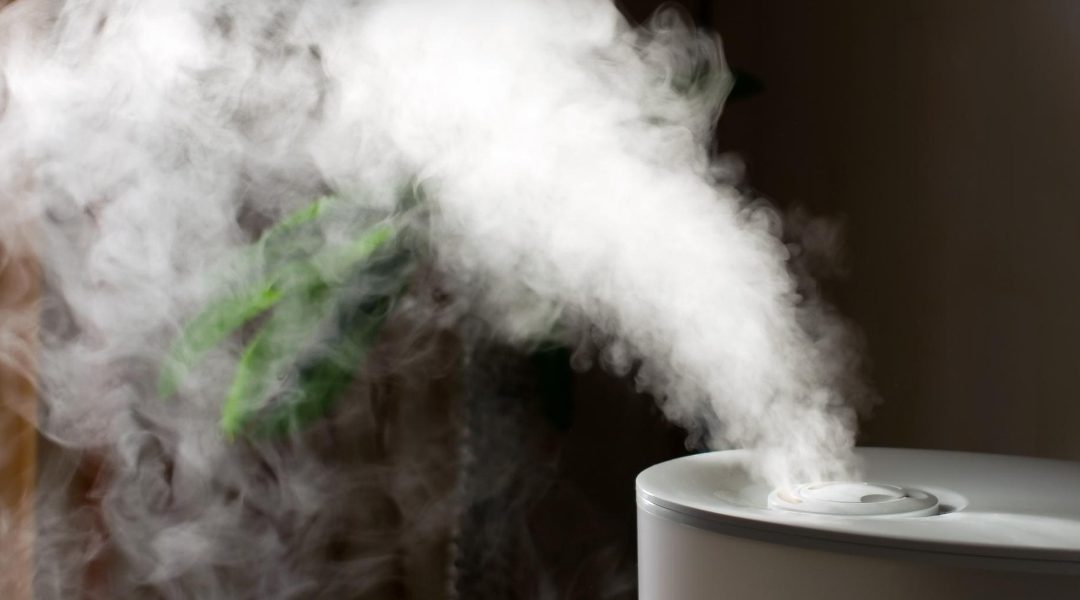 Should Your Home Have A Humidifier?