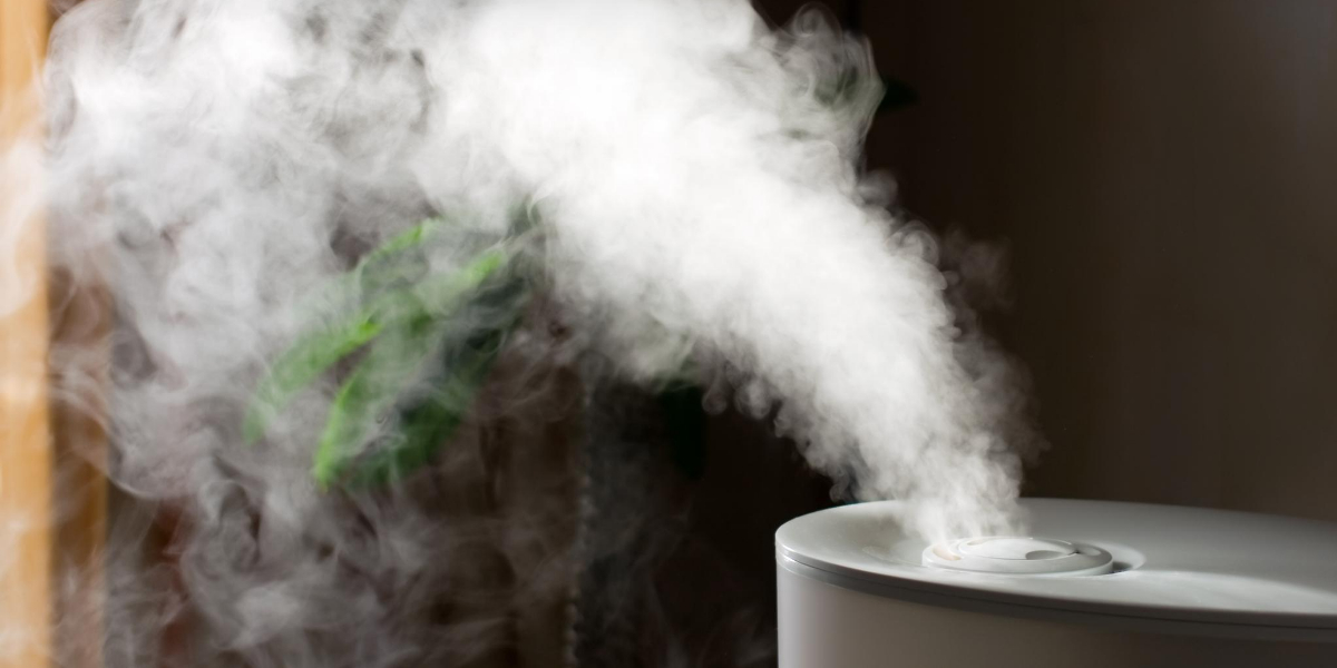 Should Your Home Have A Humidifier? Tankless Experts Inc.